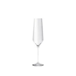 Eva Solo Legio Nova Champagneglas 26 Cl 6 Stk.