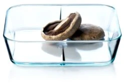 Rosendahl Grand Cru Ovnfast Fad Mellem