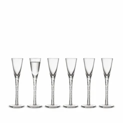 Lyngby Glas Paris Snapseglas 6 Stk. 2,5 Cl