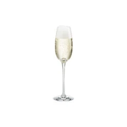 HOLMEGAARD Fontaine Champagneglas 21 Cl.